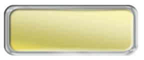 Blank Shiny Gold Nametag with a Shiny Silver Metal Border