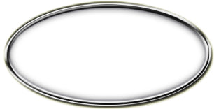 Blank Silver Oval Framed Nametag with White